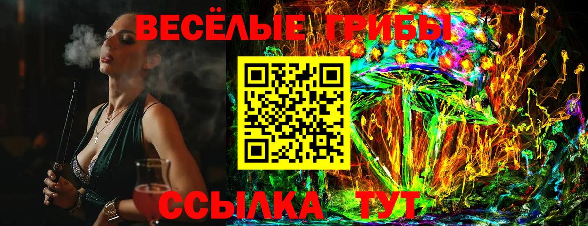 Михайловск  Галлюциногенные грибы прущие грибы  Вход с VPN 