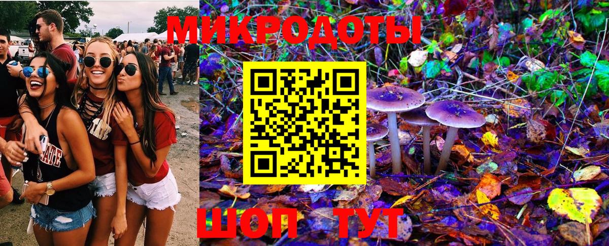 Галлюциногенные грибы GOLDEN TEACHER Михайловск